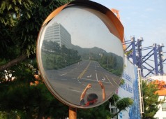 출근 선동전(8월 26일)